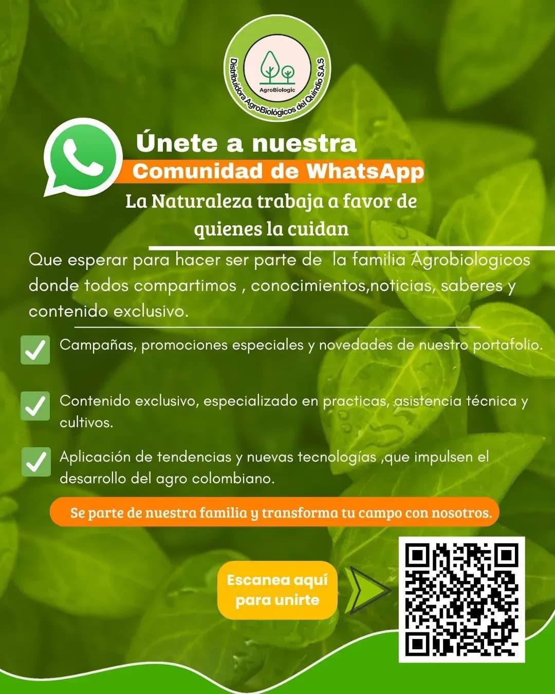 Imagen ilustrativa: ¡Agrobiológicos del Quindío ahora en Whatsapp! 