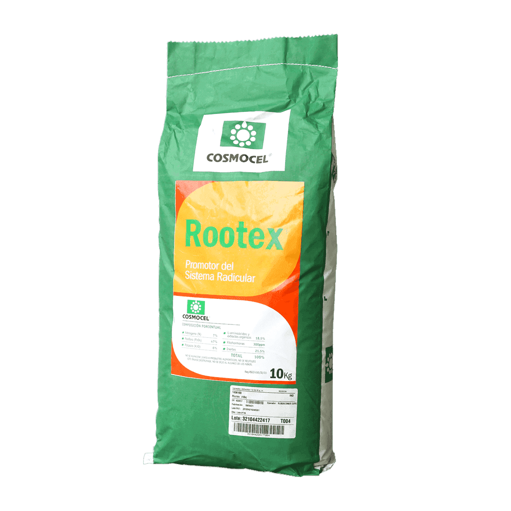 Imagen de ROOTEX