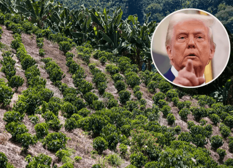 Imagen ilustrativa: Alerta en el agro colombiano: más de US$7.600 millones en exportaciones a EE. UU. estarían en riesgo por aranceles