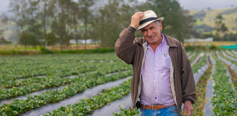Imagen ilustrativa: El sector rural y agropecuario alcanza su mayor nivel de empleo para marzo en seis años