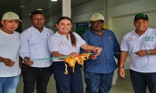 Imagen ilustrativa de la noticia El ICA apertura tres oficinas más en el Chocó, un departamento potencia en la agricultura de Colombia