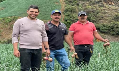 Imagen ilustrativa de la noticia Los agricultores de Norte de Santander se suman a la certificación en Buenas Prácticas Agrícolas desde los territorios