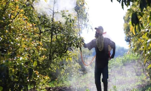 Imagen ilustrativa de la noticia Precios de fertilizantes registran su mayor incremento en nueve meses