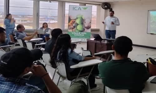 Imagen ilustrativa de la noticia Productores de aguacate respondieron masivamente a convocatoria de la primera mesa fitosanitaria del Valle del Cauca