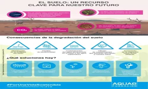 Imagen ilustrativa de la noticia Día Internacional de la Conservación del suelo: ¿por qué es importante?