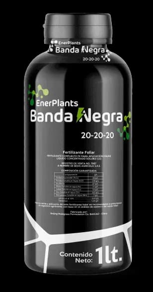 Imagen de Foliares Banda Negra