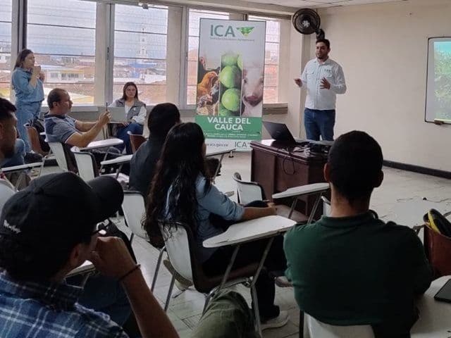 Imagen ilustrativa: Productores de aguacate respondieron masivamente a convocatoria de la primera mesa fitosanitaria del Valle del Cauca