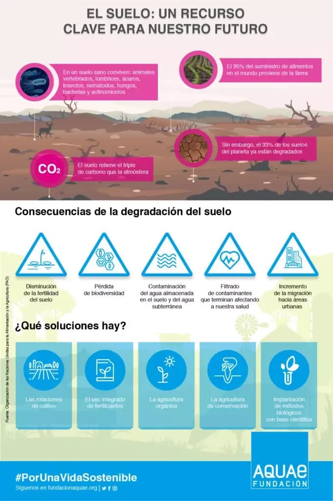 Imagen ilustrativa: Día Internacional de la Conservación del suelo: ¿por qué es importante?