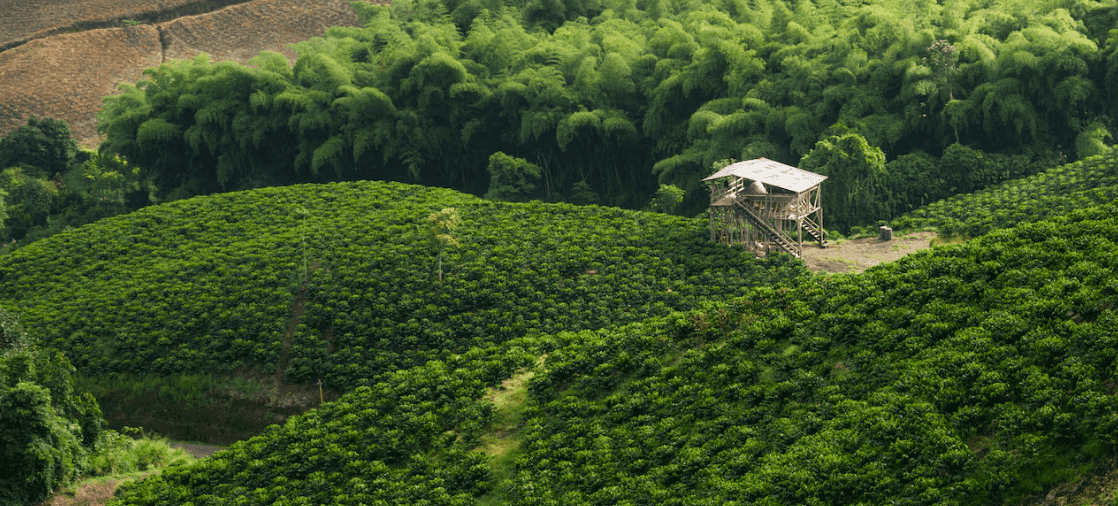 Imagen ilustrativa: Foro Colombia Rural 2025: líderes y expertos trazan la hoja de ruta del nuevo agro colombiano